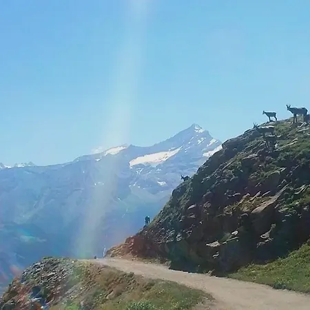La Nigritelle - Vetan Saint-Pierre
